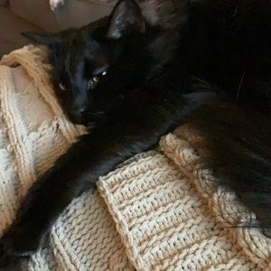 Meet your Posher, Barbara